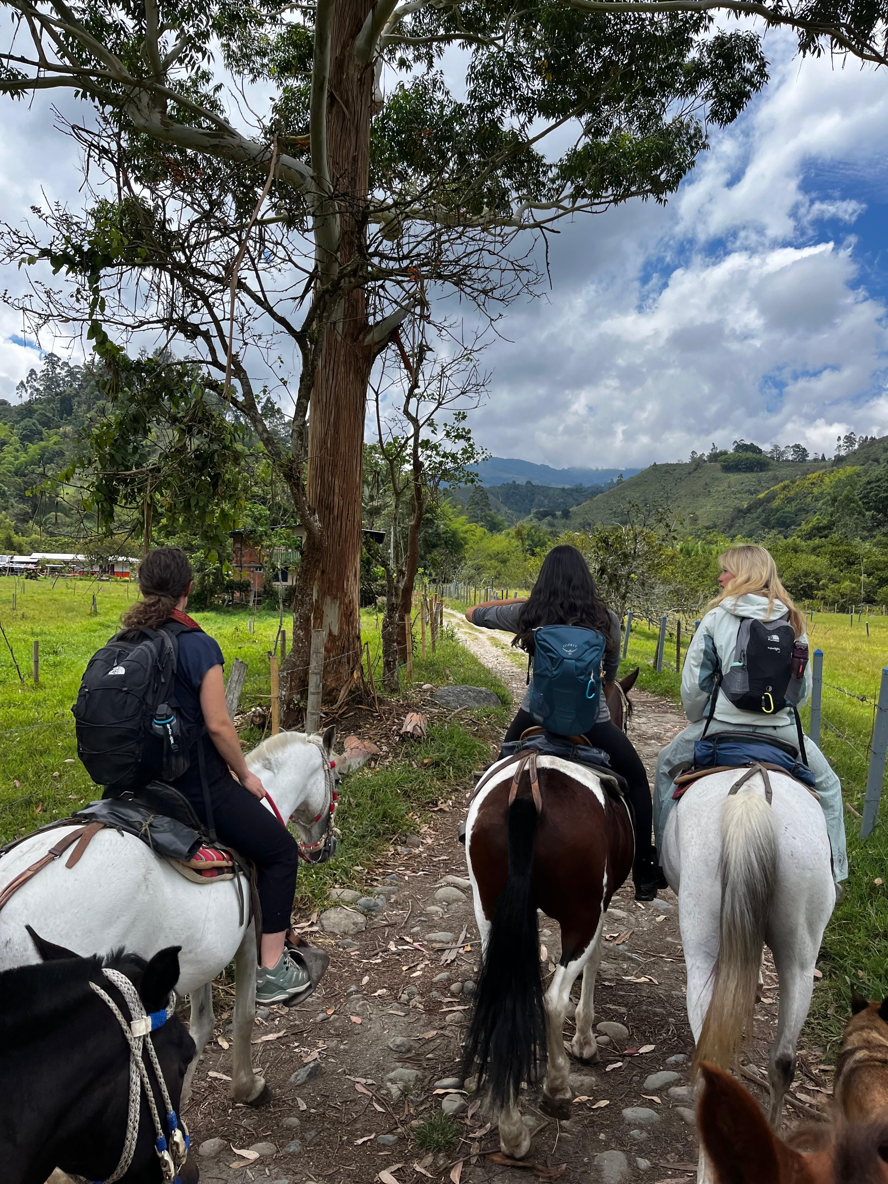 Cabalgata con amigos por senderos naturales