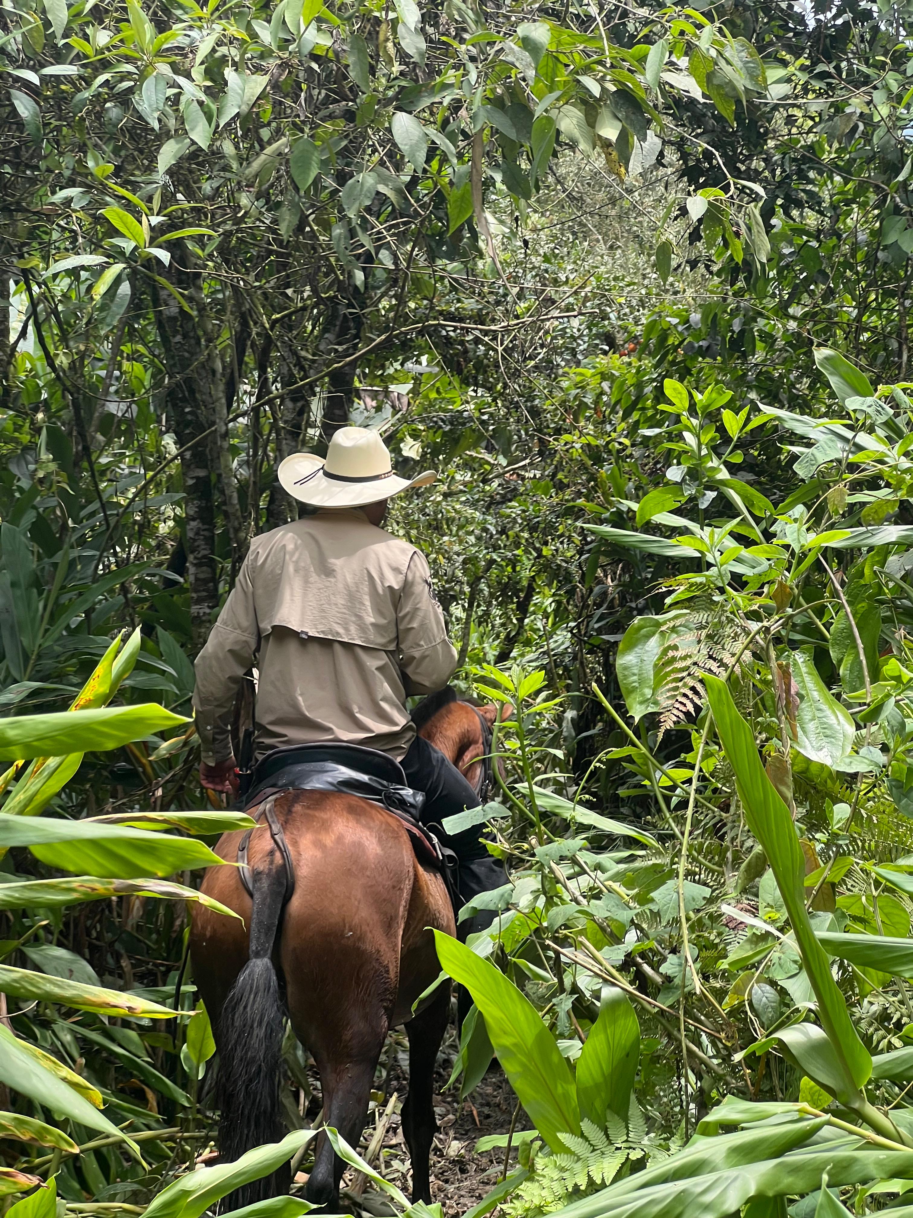 Recorrido por monte natural y senderos