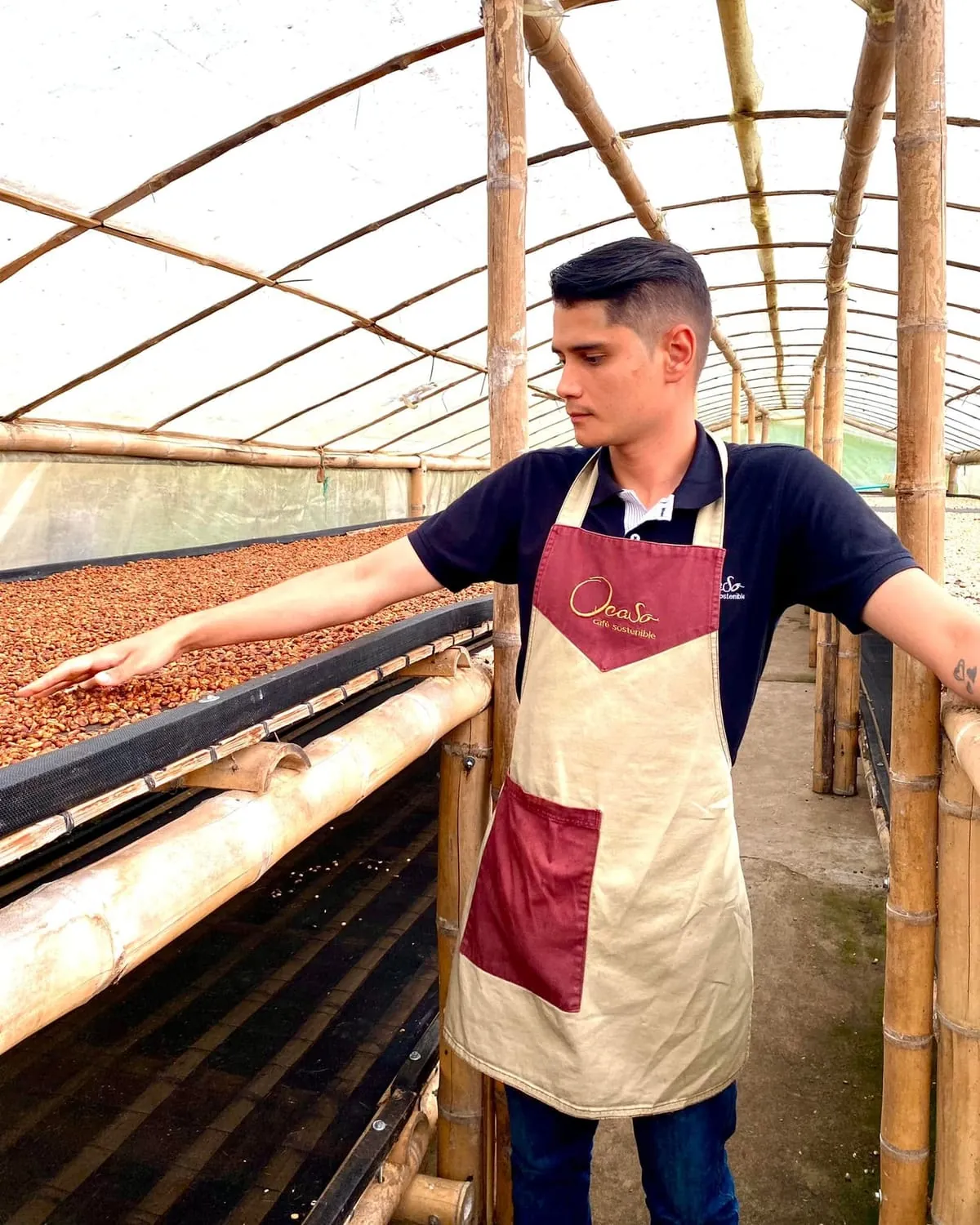 Colección de cafés especiales de Finca El Ocaso, Salento