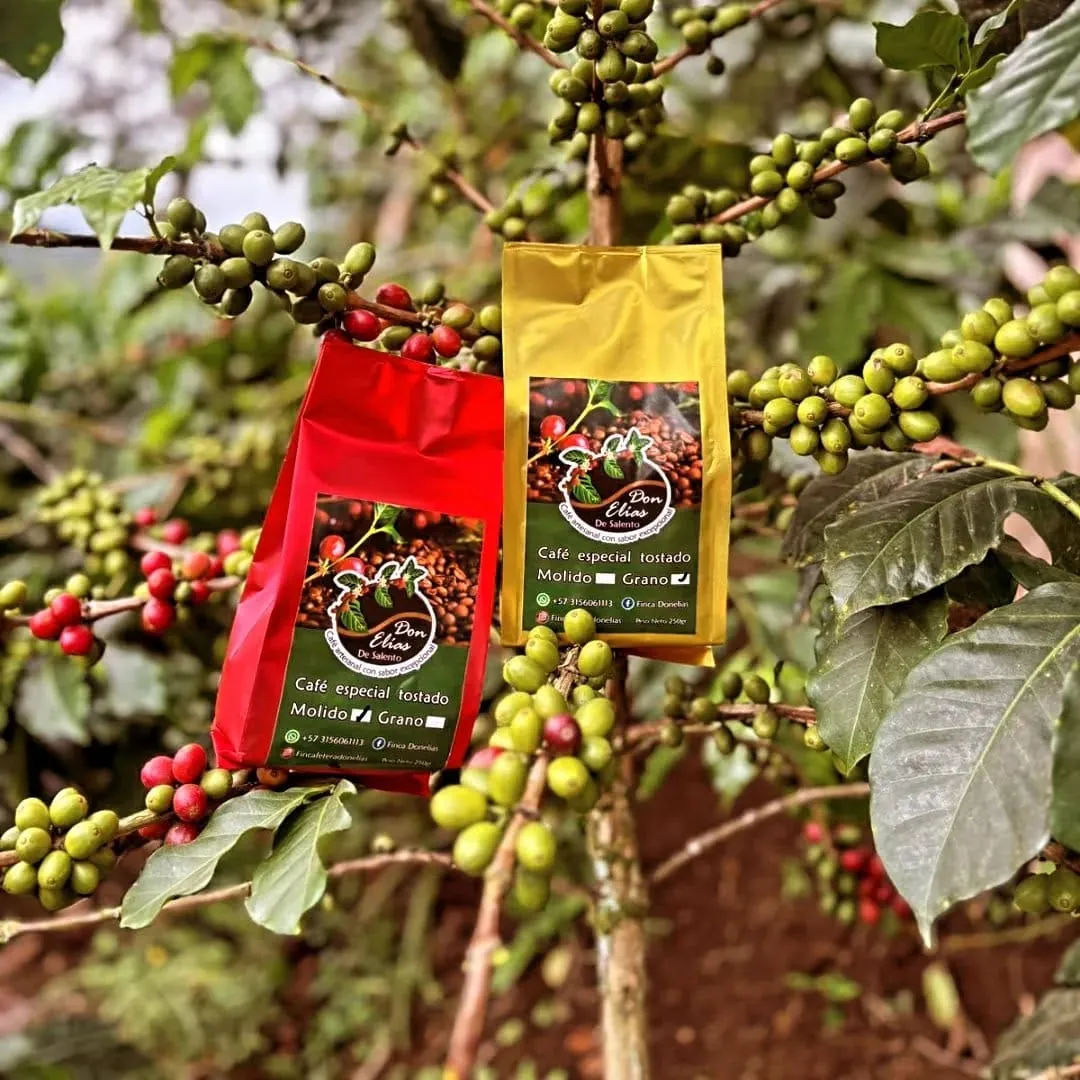 Café Grano Premium de Finca Don Elías en Salento