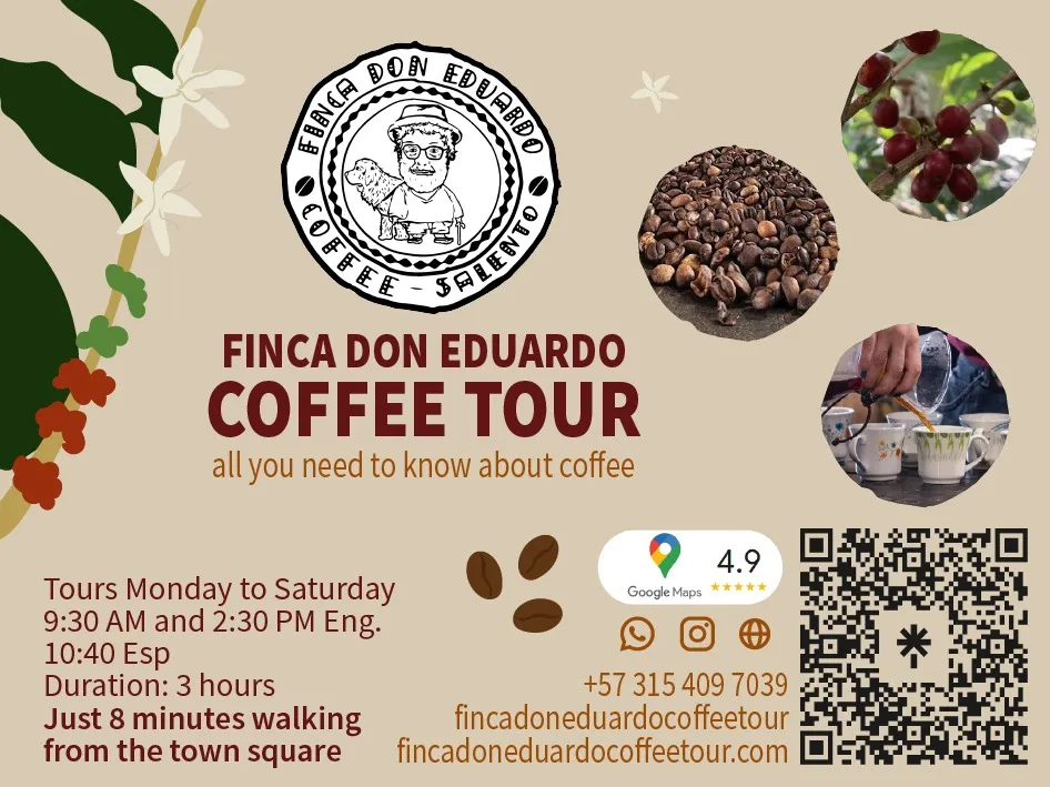 Finca Don Eduardo Coffee Tour - Arte oficial