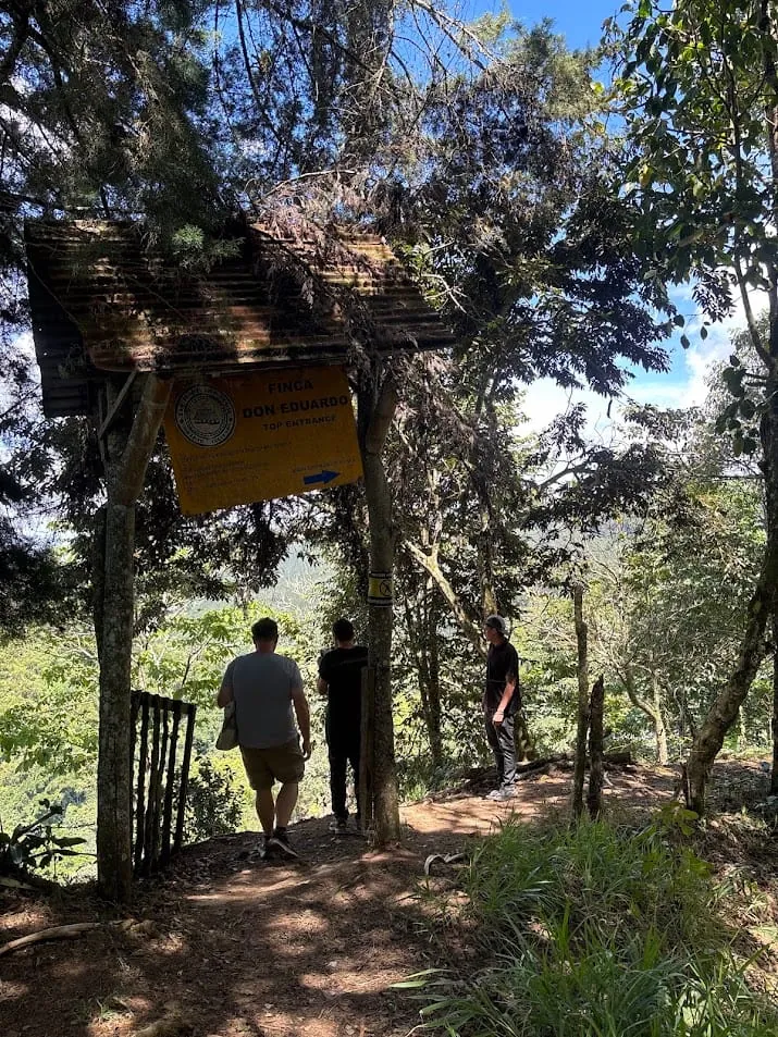 Finca Don Eduardo Coffee Tour - Semillero