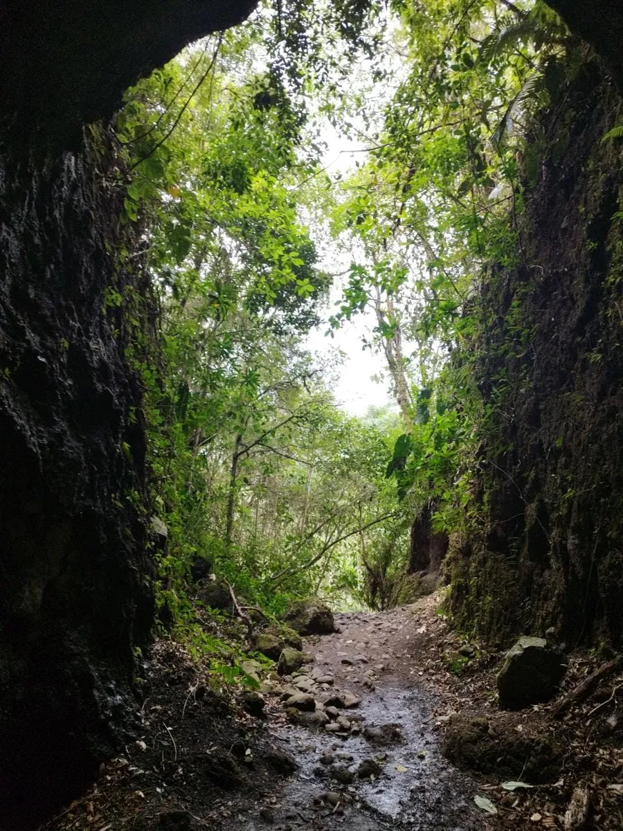 Cuevas Santa Rita