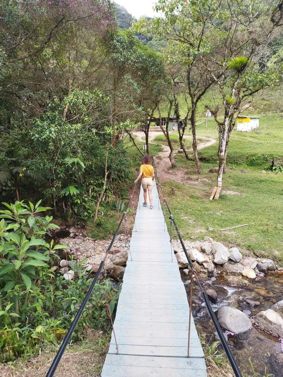 Puente colgante