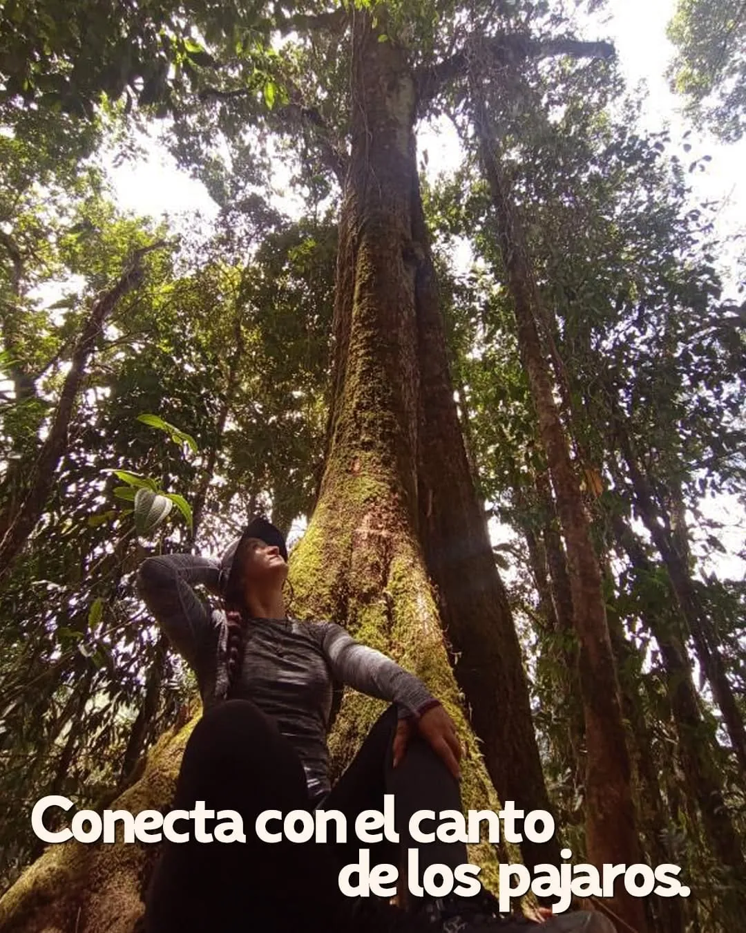 Sendero Santa Rita
